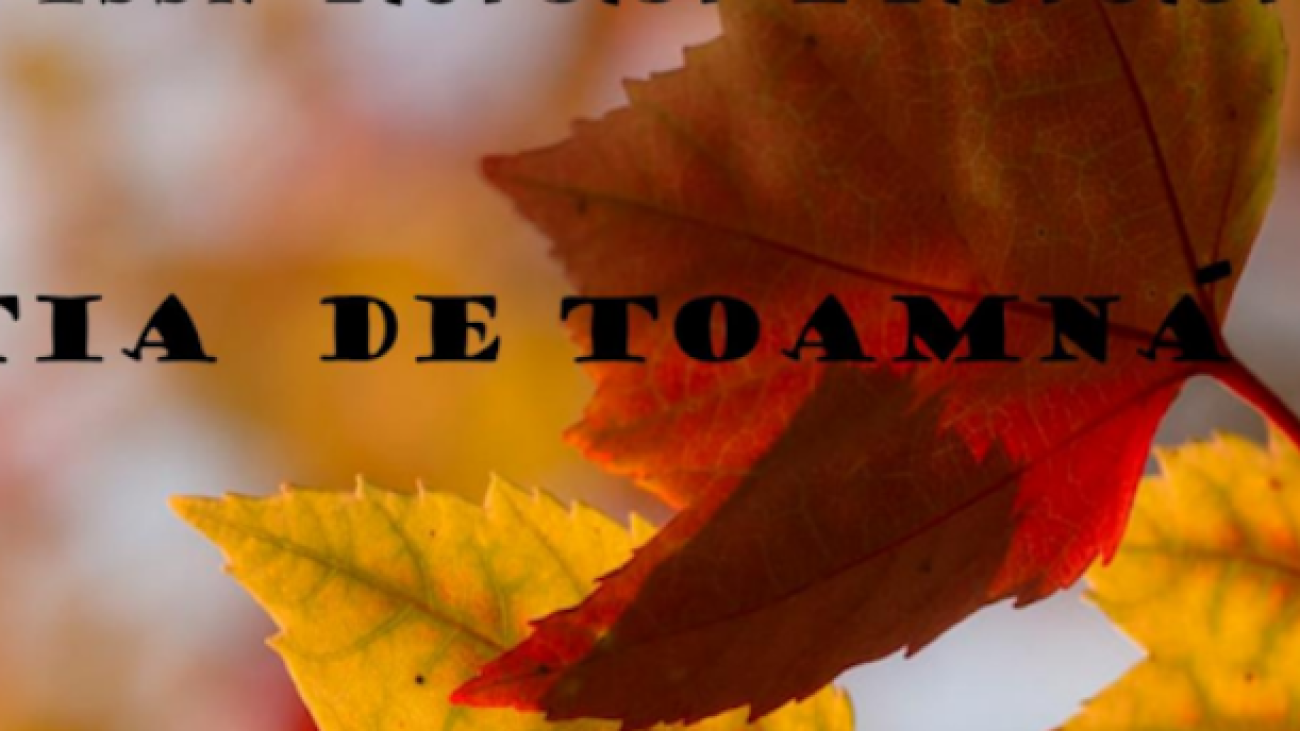 Screenshot 2025-07-17 034209