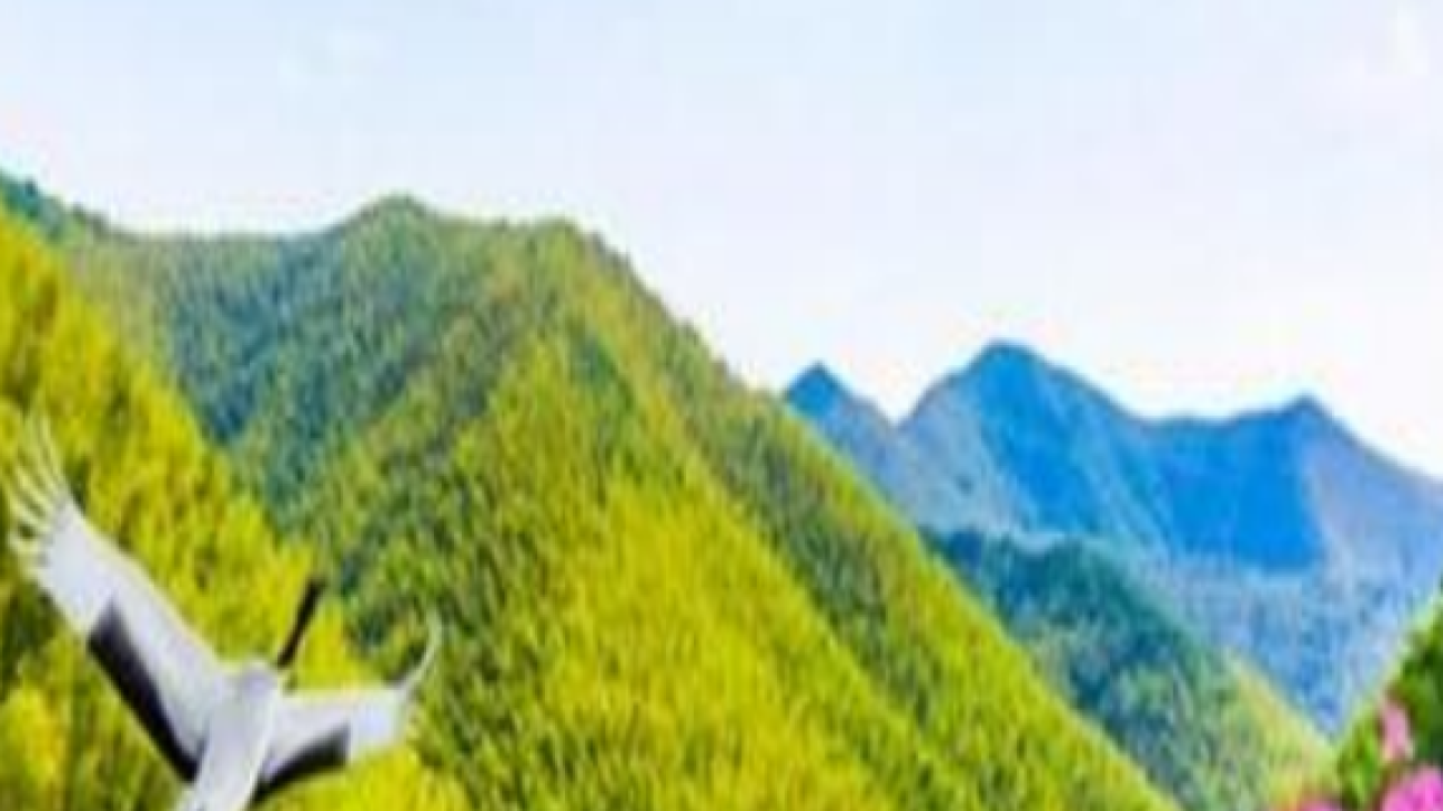 Screenshot 2025-07-17 034337